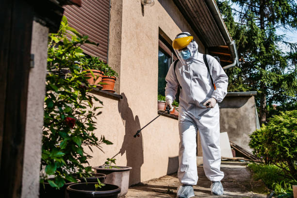 Best Local Pest Control Services  in Benton Harbor, MI