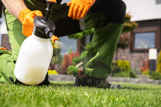 Best Best Pest Control Companies  in Benton Harbor, MI