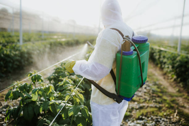 Wildlife Control Services in Benton Harbor, MI